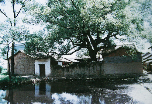(6)   1938年浙江省立临时联合中学师范部