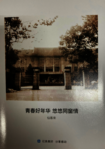 青春好年华_调整大小
